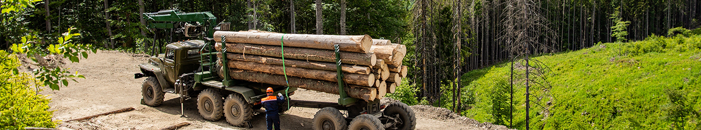 logging truck loading in the mountains