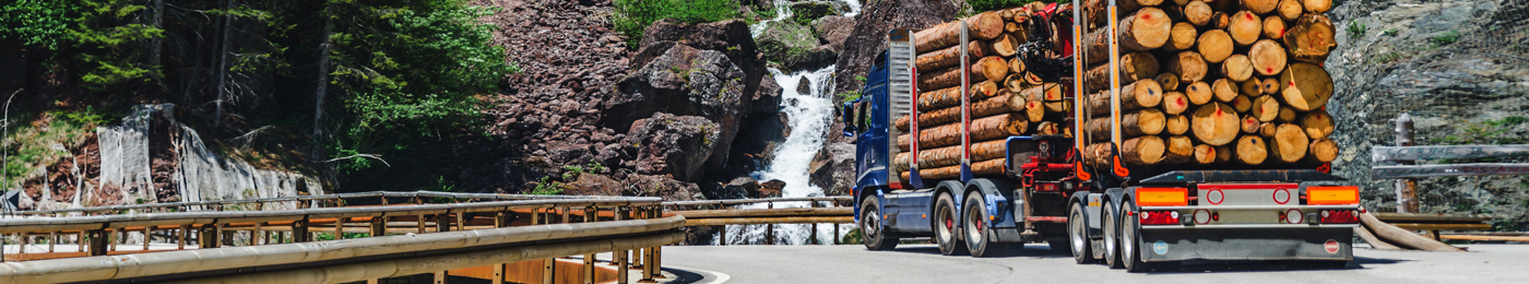 Vulcan scales timber