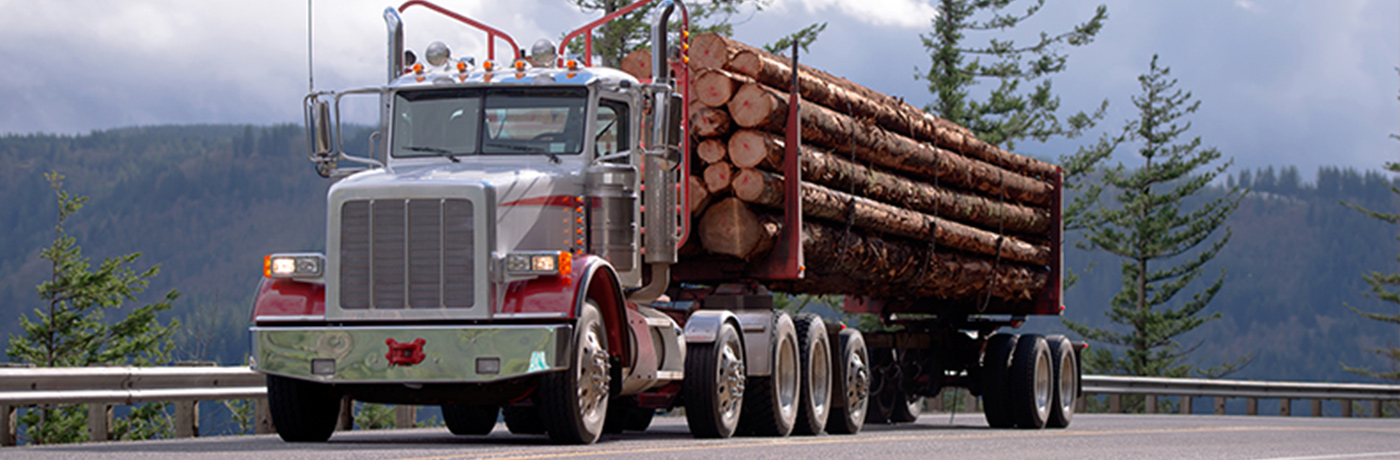 Timber Truck EDOC