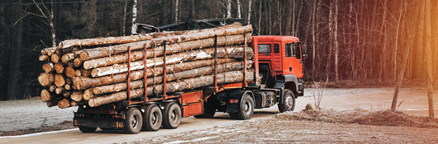 Timber Truck EDOC