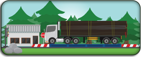 logging truck on weigh bridge illustration